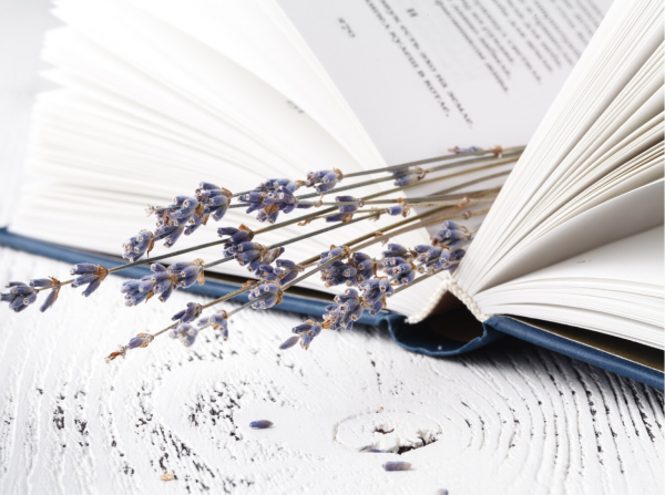 Image for event: Lavender Literary League